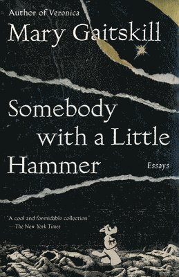 Somebody with a Little Hammer: Essays 1