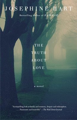bokomslag The Truth About Love