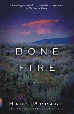 bokomslag Bone Fire