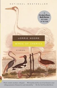 bokomslag Birds of America: Stories