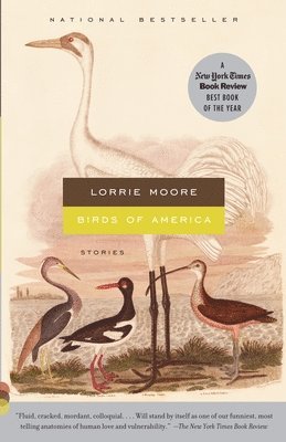 Lorrie Moore - Birds of America: Stories, Häftad