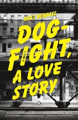 Dogfight, A Love Story 1