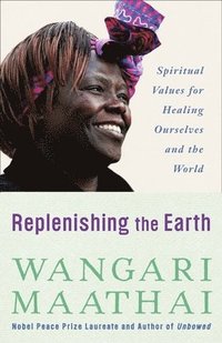 bokomslag Replenishing the Earth: Spiritual Values for Healing Ourselves and the World