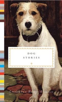 bokomslag Dog Stories