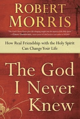 Robert Morris - The God I Never Knew, Häftad