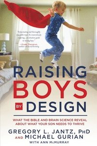bokomslag Raising Boys by Design