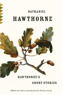 bokomslag Hawthorne's Short Stories