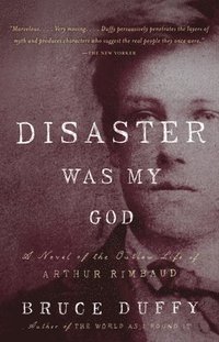 bokomslag Disaster Was My God