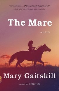 bokomslag Gaitskill, M: Mare