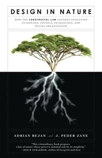 bokomslag Design in Nature: How the Constructal Law Governs Evolution in Biology, Physics, Technology, and Social Organizations