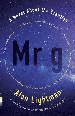 Alan Lightman - MR G: A Novel about the Creation, Häftad