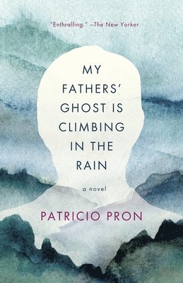 My Fathers' Ghost Is Climbing in the Rain 1