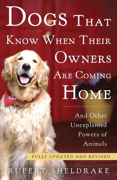 bokomslag Dogs That Know When Their Owners Are Coming Home: And Other Unexplained Powers of Animals