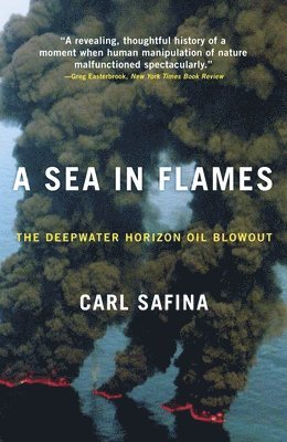 bokomslag A Sea in Flames