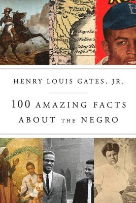 bokomslag 100 Amazing Facts about the Negro