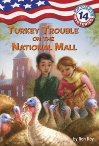 bokomslag Capital Mysteries #14: Turkey Trouble On The National Mall