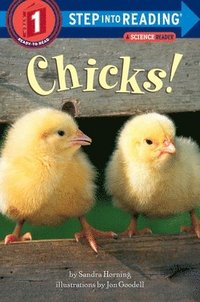 bokomslag Chicks!