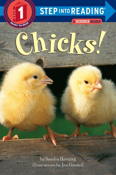 Sandra Horning - Chicks!, Häftad