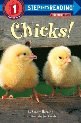 bokomslag Chicks!