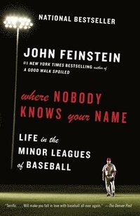bokomslag Where Nobody Knows Your Name: Life in the Minor Leagues of Baseball