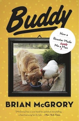 bokomslag Buddy: How a Rooster Made Me a Family Man
