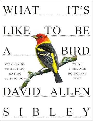 David Allen Sibley - What It's Like to be a Bird, Inbunden