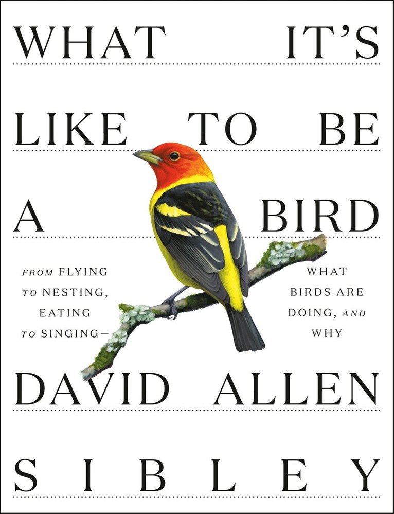 David Allen Sibley - What It's Like to be a Bird, Inbunden