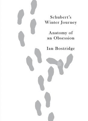 bokomslag Schubert's Winter Journey: Anatomy of an Obsession