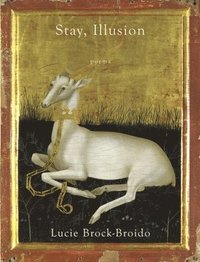 bokomslag Stay, Illusion