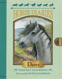 bokomslag Horse Diaries #10: Darcy