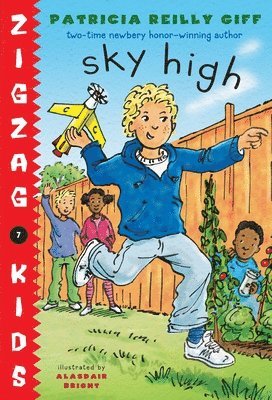 bokomslag Sky High