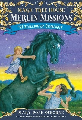 Magic Tree House #49 Stallion By Starlight 1