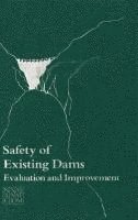 bokomslag Safety of Existing Dams