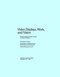 bokomslag Video Displays, Work, and Vision