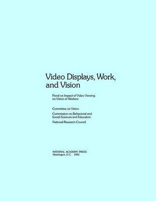bokomslag Video Displays, Work, and Vision