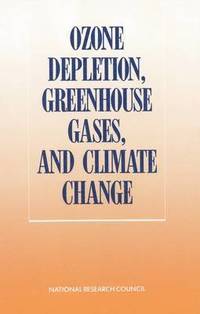 bokomslag Ozone Depletion, Greenhouse Gases, and Climate Change