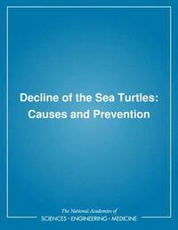 bokomslag Decline of the Sea Turtles