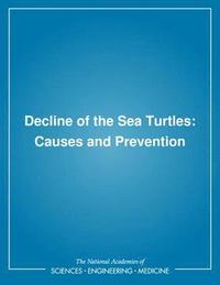 bokomslag Decline of the Sea Turtles