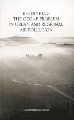 bokomslag Rethinking the Ozone Problem in Urban and Regional Air Pollution