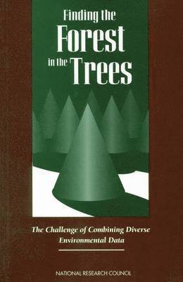 National Research Council, Division on Engineering and Physical Sciences, and Applications Commission on Physical Sciences, Mathematics, Committee for a Pilot Study on Database Interfaces - Finding the Forest in the Trees, Häftad