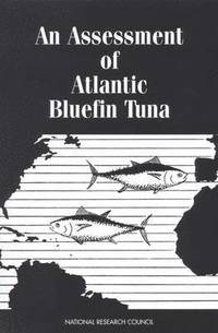 bokomslag An Assessment of Atlantic Bluefin Tuna