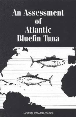bokomslag An Assessment of Atlantic Bluefin Tuna