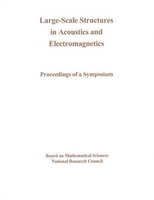 bokomslag Large-Scale Structures in Acoustics and Electromagnetics
