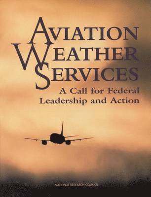Aviation Weather Services