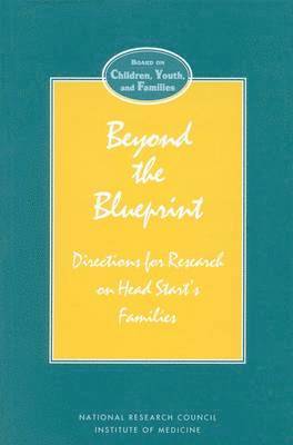 bokomslag Beyond the Blueprint