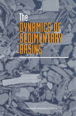 bokomslag Dynamics of Sedimentary Basins