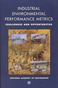 bokomslag Industrial Environmental Performance Metrics