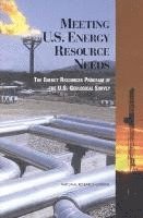 bokomslag Meeting U.S. Energy Resource Needs