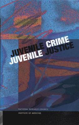 bokomslag Juvenile Crime, Juvenile Justice