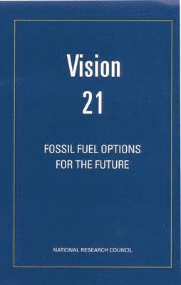 bokomslag Vision 21